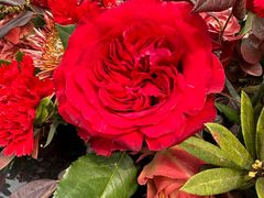 -格蕾花坊(民盈·国贸城店)