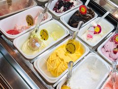 -柠檬车露(卖草地店)