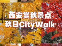 -西北轻工批发市场