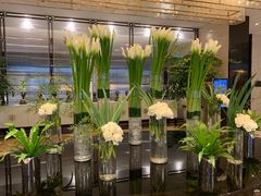 -行者书屋大堂吧 ·下午茶(南京圣和府邸酒店)