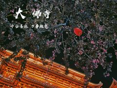 -大佛古寺