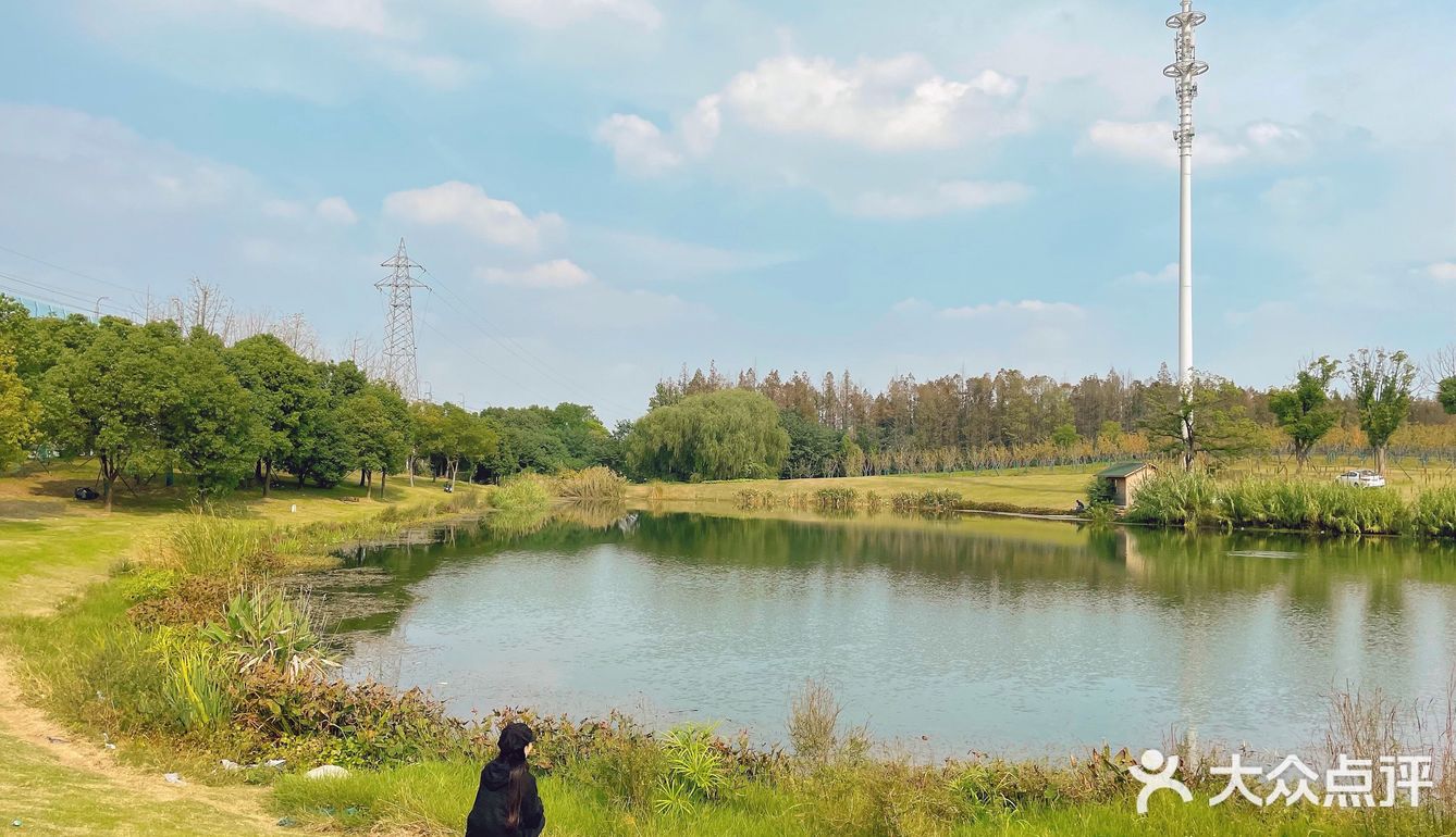 大隐隐于市，偶遇彼岸花