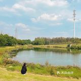 大隐隐于市，偶遇彼岸花