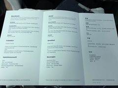 -德国汉莎航空公司