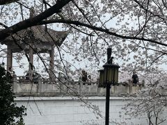 -苏州上方山国家森林公园