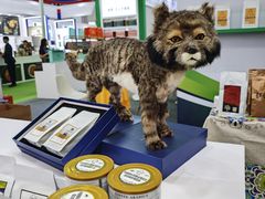 -甘肃国际会展中心