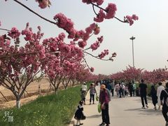 -古柏渡飞黄旅游区