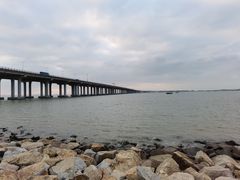 -宝安西湾红树林湿地公园