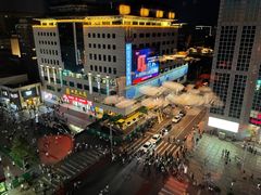 -喜悦烤鸭·新京菜(王府井店)