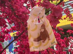 -宜家家居(高新商场店)