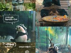-五龙山野生动物王国