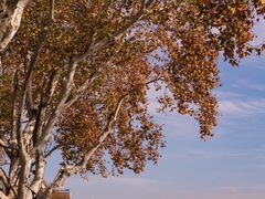 -北山街历史文化街区