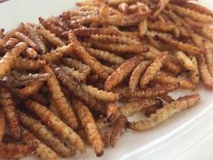 -天强农家菜馆