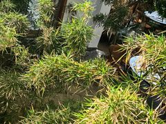 -忆江南·生态餐饮宴会酒店