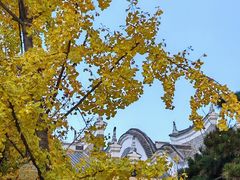 -武汉园博园(武汉自然博物馆)