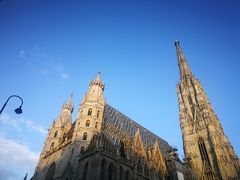 -斯蒂芬主教座堂(Stephansdom)