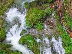 -鹿院坪生态旅游景区