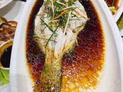 -天福苑(崇宁路店)