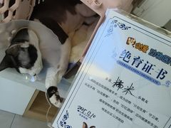 -达爱动物医院·犬猫分区·CT·复杂眼科(远洋山水分院)