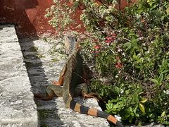 -维兹卡亚博物馆及花园