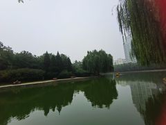 -团结湖公园