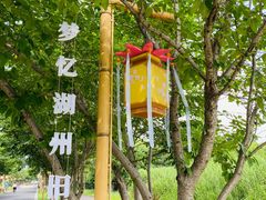 -长田漾湿地公园