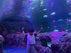 -沈阳海洋探索中心