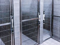 大型犬住院区-佩兹宠物医院肿瘤专科·眼科·牙科(黄浦店)