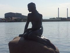 -美人鱼