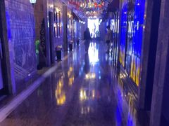 -飞歌e族KTV(雄楚1号店)