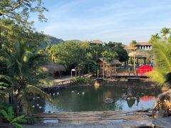 -海南槟榔谷黎苗文化旅游区