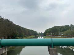-菊园百果园