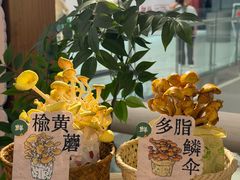 -沈阳铁西万象汇