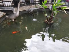 -鹅公村·国家非遗传承(荔湾店)