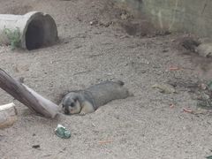 -泉州海丝野生动物世界