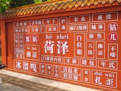 -曹州牡丹园