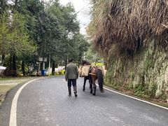 -新安江山水画廊风景区