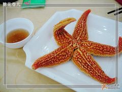 海星-海岛渔村大酒店(云霄路店)