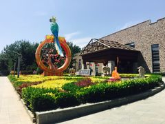 景点-南宫五洲植物乐园