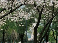 -西北湖绿化广场