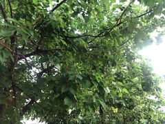 -长春公园(普阳街道)