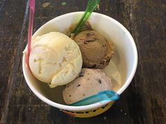 -莓园冰淇淋店