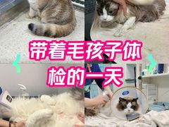 -萌兽医馆·宠物医院·猫骨科(创景店)