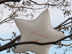 -壹点壹客·生日蛋糕(南山店)