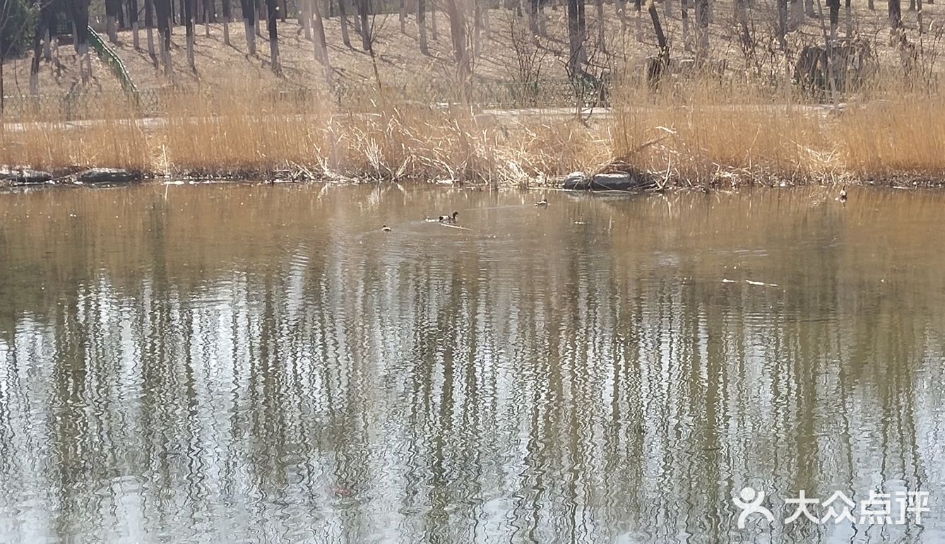 周末天好出来溜溜弯