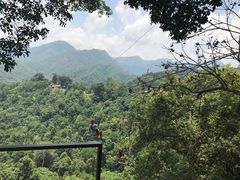 -清迈丛林飞跃 JungleFlight