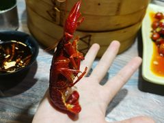 -靓靓蒸虾·头牌蒸虾(雪松路总店)