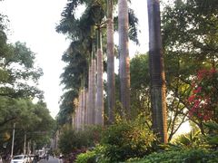-聚春园自助餐厅(东街口店)