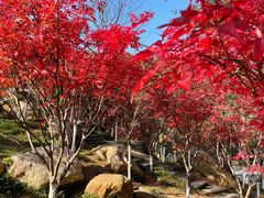 -广州市帽峰山景区
