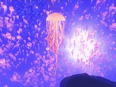 -波塞冬旅游度假区